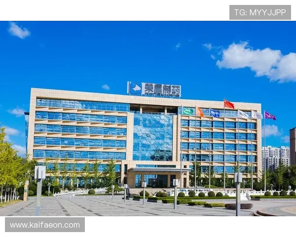 K8凯发国际登录入口官方平台最新版本下载及安装步骤详解